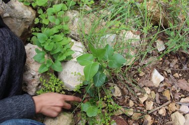 صورة عامة، شهر شباط. هذه الصورة مرخصة تحت المشاع الاٍبداعي نسب المصنف - غير تجاري 4.0