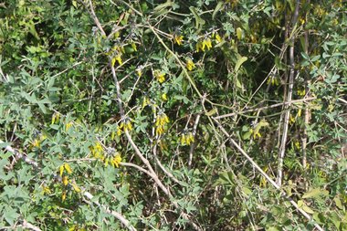 صورة عامة، شهر نيسان. هذه الصورة مرخصة تحت المشاع الإبداعي نسب المصنف - غير تجاري 4.0