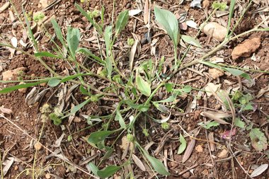 صورة عامة، شهر أيار. هذه الصورة مرخصة تحت المشاع الإبداعي نسب المصنف - غير تجاري 4.0