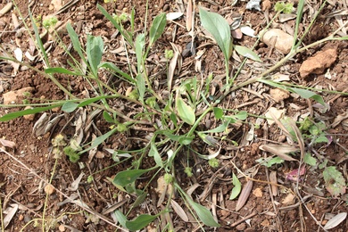 General View, May. This photo is available under the Creative Commons CC-BY-NC 4.0.