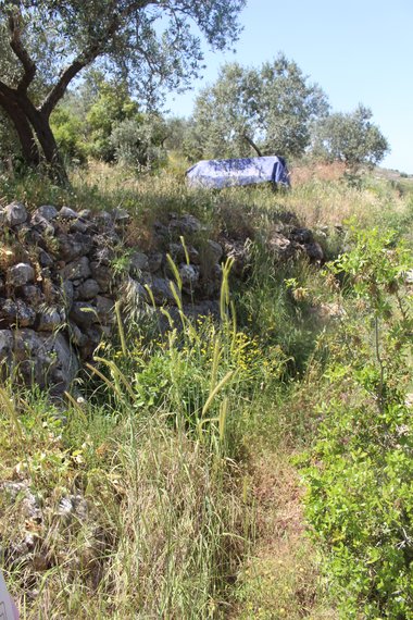 صورة عامة، شهر نيسان. هذه الصورة مرخصة تحت المشاع الإبداعي نسب المصنف - غير تجاري 4.0