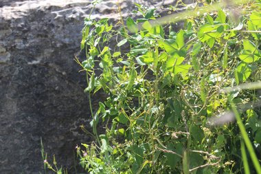 صورة عامة، شهر نيسان. هذه الصورة مرخصة تحت المشاع الاٍبداعي نسب المصنف - غير تجاري 4.0