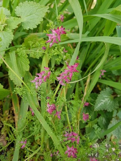 General view , February. This photo is available under the Creative Commons CC-BY-NC 4.0.