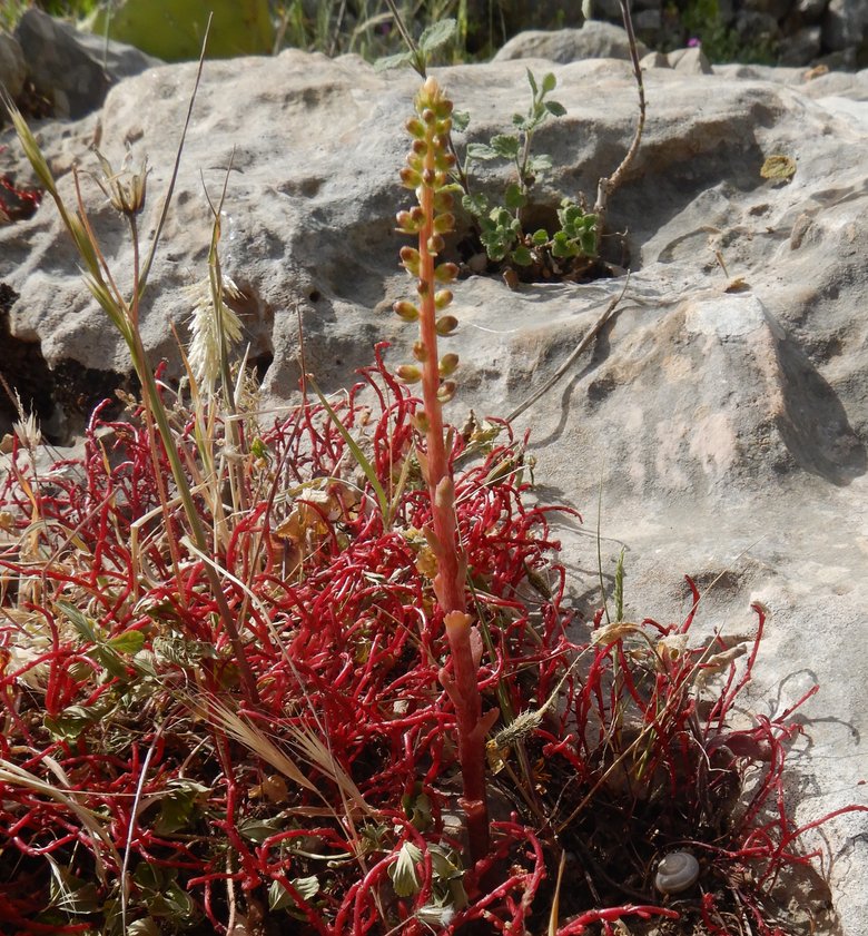 صورة عامة، شهر نيسان. هذه الصورة مرخصة تحت المشاع الاٍبداعي نسب المصنف - غير تجاري 4.0