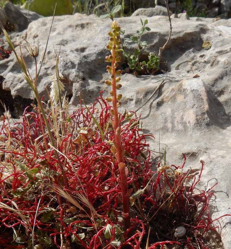 General View, April. This photo is available under the Creative Commons CC-BY-NC 4.0 License.