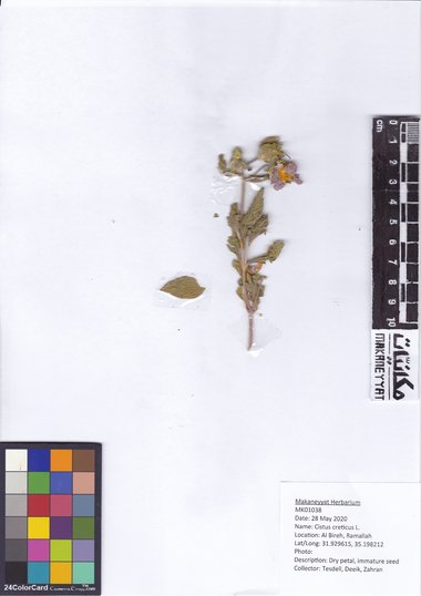 هذه الصورة مرخصة تحت المشاع الإبداعي نسب المصنف - غير تجاري 4.0