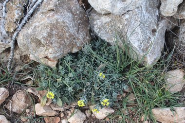 صورة عامة، شهر شباط. هذه الصورة مرخصة تحت المشاع الإبداعي نسب المصنف - غير تجاري 4.0