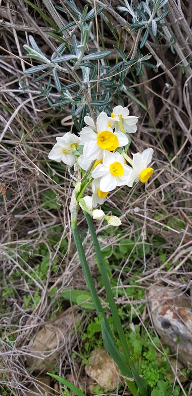 General View , December. This photo is available under the Creative Commons CC-BY-NC 4.0.