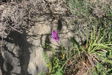 صورة عامة، شهر نيسان. هذه الصورة مرخصة تحت المشاع الإبداعي نسب المصنف - غير تجاري 4.0