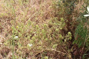 General View, May. This photo is available under the Creative Commons CC-BY-NC 4.0.