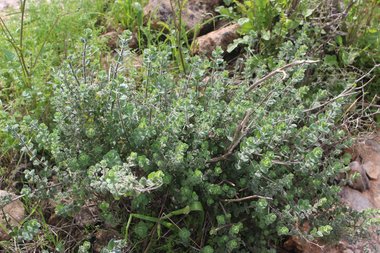 General View , March. This photo is available under the Creative Commons CC-BY-NC 4.0.