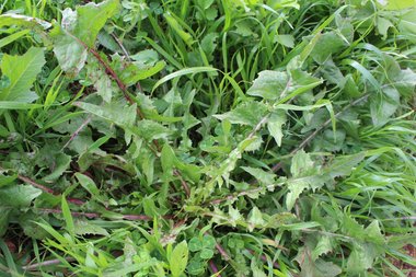 نظرة عامة، شهر شباط. هذه الصورة مرخصة تحت المشاع الاٍبداعي نسب المصنف - غير تجاري 4.0