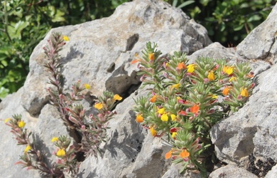 General View, March. This photo is available under the Creative Commons CC-BY-NC 4.0 License.