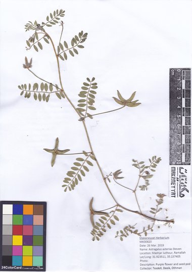 This photo is available under the Creative Commons CC-BY-NC 4.0 License.