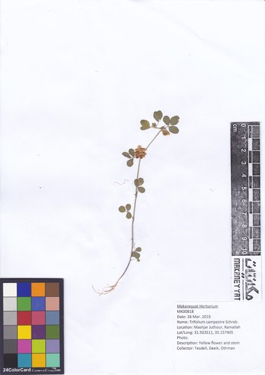 هذه الصورة مرخصة تحت المشاع الإبداعي نسب المصنف - غير تجاري 4.0