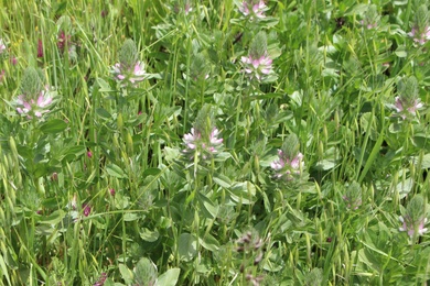 General View, April. This photo is available under the Creative Commons CC-BY-NC 4.0.