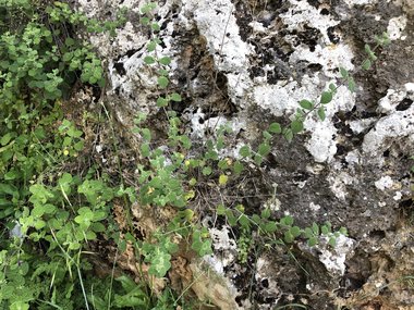 صورة عامة، شهر أيار. هذه الصورة مرخصة تحت المشاع الاٍبداعي نسب المصنف - غير تجاري 4.0