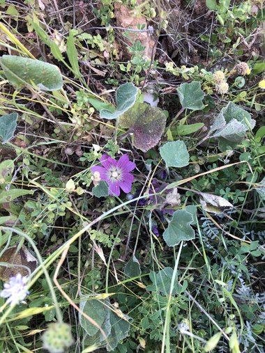 صورة عامة، شهر أيار. هذه الصورة مرخصة تحت المشاع الاٍبداعي نسب المصنف - غير تجاري 4.0