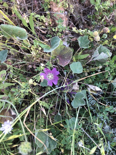 General View, May. This photo is available under the Creative Commons CC-BY-NC 4.0 License.